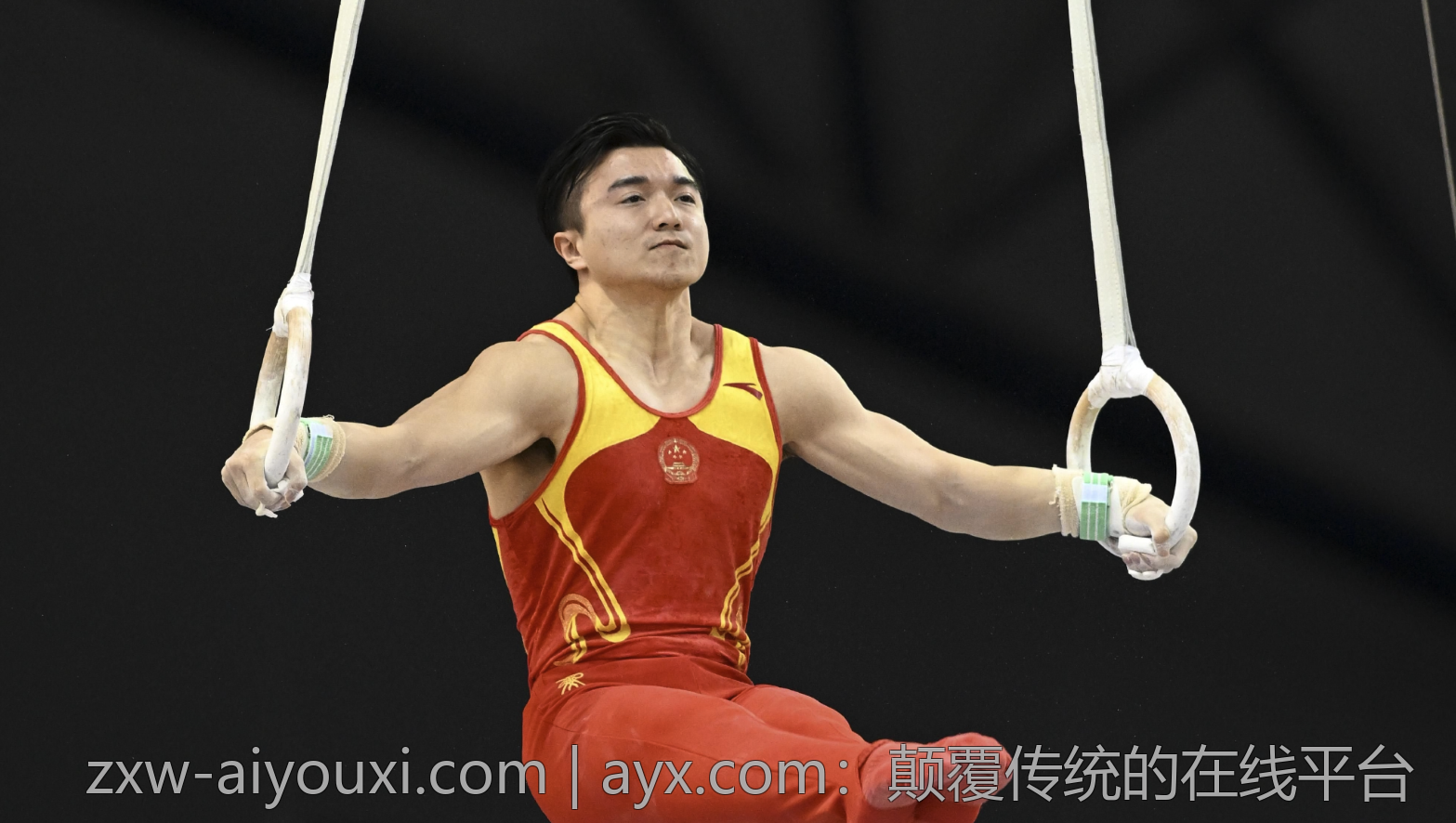 ayx.com：颠覆传统的在线平台