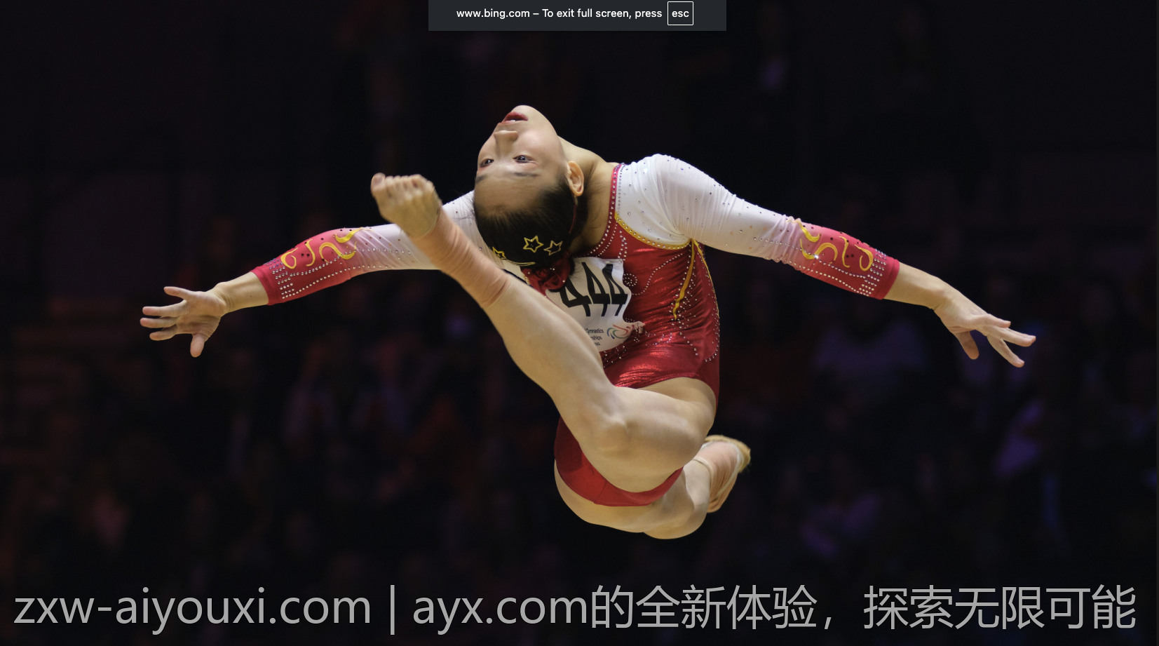 ayx.com的全新体验，探索无限可能